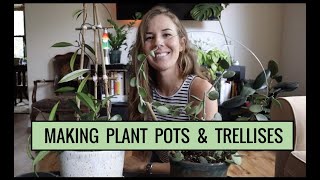 DIY plant trellis with just bamboo and string [upl. by Ahsie]