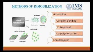 Enzyme immobilization [upl. by Fredella]