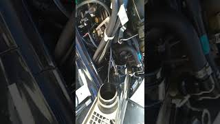 Evinrude ficht engine tips [upl. by Amein]