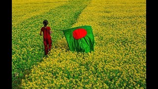 Amar Sonar Bangla Ami Tomai Valobashi Bangladesh National Song [upl. by Neelra]