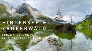 Der wunderschöne Hintersee amp Zauberwald bei Ramsau  Berchtesgadener Land  kleine Wanderung  4K [upl. by Nanah]