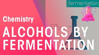 Making Alcohols By Fermentation amp From Ethane  Organic Chemistry  Chemistry  FuseSchool [upl. by Aihtnyc]