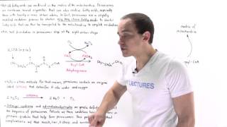 Peroxisomal Oxidation of Fatty Acids [upl. by Nalahs]