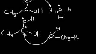 Esterification Mechanism making an ester from a carboxylic acid and an alcohol [upl. by Pelaga]