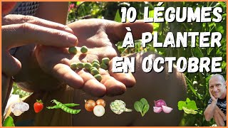 10 légumes à planter en octobre au potager [upl. by Pawsner]