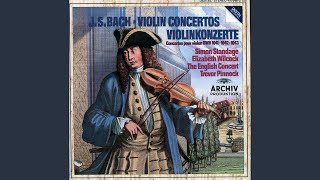 JS Bach Double Concerto for 2 Violins Strings amp Continuo in D Minor BWV 1043 I Vivace [upl. by Iahs]