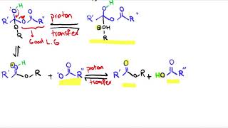 Acetylation Reaction MechanismOrganic Chemistry [upl. by Cutter]