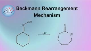 Beckmann Rearrangement Example Mechanism  Organic Chemistry [upl. by Benedict296]