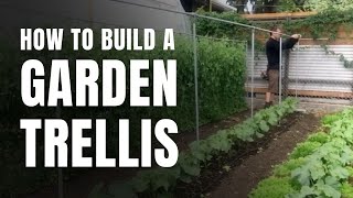 How to Build a Simple Garden Trellis [upl. by Haroldson]