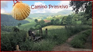 Camino PrimitivoUrsprünglicher JakobswegCamiño Primitivo Santiago de CompostelaThe Way of StJames [upl. by Enortna]