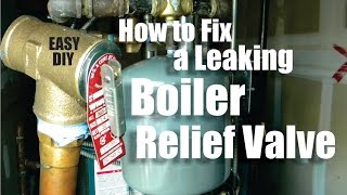 How to Repair a Leaking Boiler Relief Valve Easy DIY [upl. by Buffy]