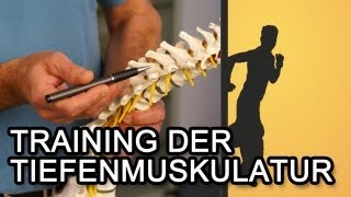 Training der Tiefenmuskulatur für einen starken Rücken [upl. by Elynad952]