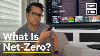 NetZero Explained [upl. by Nidraj]