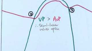 AS Biology  Cardiac cycle OCR A Chapter 85 [upl. by Eliott699]