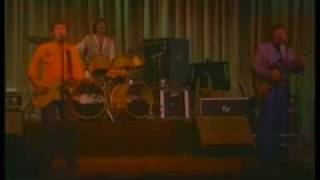 The Ventures Live 1984  La Bamba [upl. by Aivlis920]