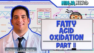 Metabolism  Fatty Acid Oxidation Part 2 [upl. by Clauddetta]