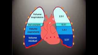 Kinésithérapie Respiratoire 3  Les Volumes Pulmonaires [upl. by Joelle]