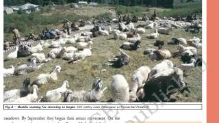 Class 9 History Chapter 5 Pastoralists In The Modern World Part 1 Hindi Explanation [upl. by Nonnelg]