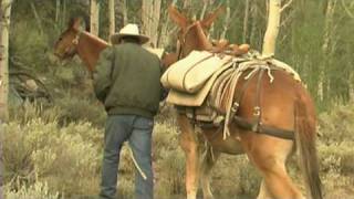 USFS  Pack Mule Program [upl. by Oidualc511]