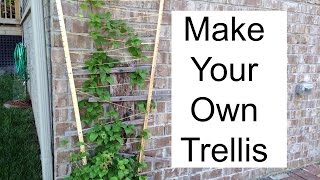 Make Your Own Trellis [upl. by Reimer]