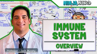 Immunology  Immune System Overview [upl. by Arrec998]