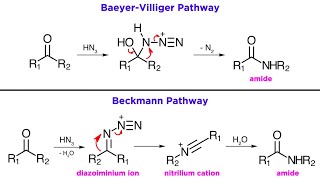 Schmidt Reaction [upl. by Affer]