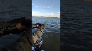 how to use a smart jigger fishing jigging [upl. by Esserac]