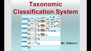 Taxonomic Classification [upl. by Erhart]