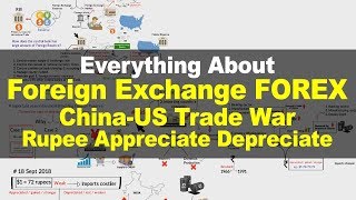 Learn Foreign Exchange Reserves  USChina Trade War  Rupees Appreciate Depreciate [upl. by Weide380]