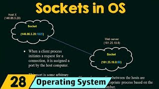 Sockets in Operating System [upl. by Gittle]