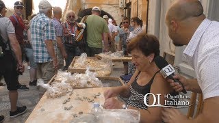 Barivecchia nessuno tocchi le orecchiette abusive [upl. by Dnarb]