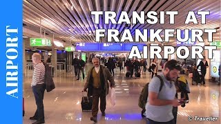 TRANSIT WALK AT FRANKFURT Airport FRA Terminal 1  Connection Flight Transfer Arriving amp Departing [upl. by Schlessel]