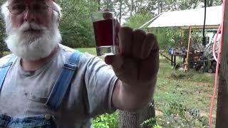 PawPaws NEW Homemade Wine Recipe [upl. by Fiel]