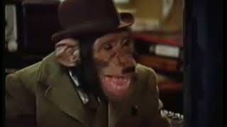 PG Tips Chimps Adverts Full collection [upl. by Brian]